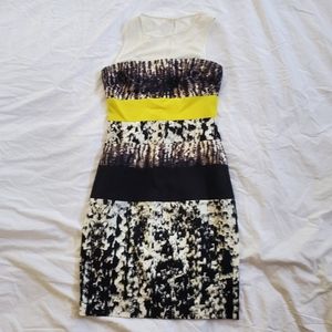 BCBG Colorblock Sheath Dress